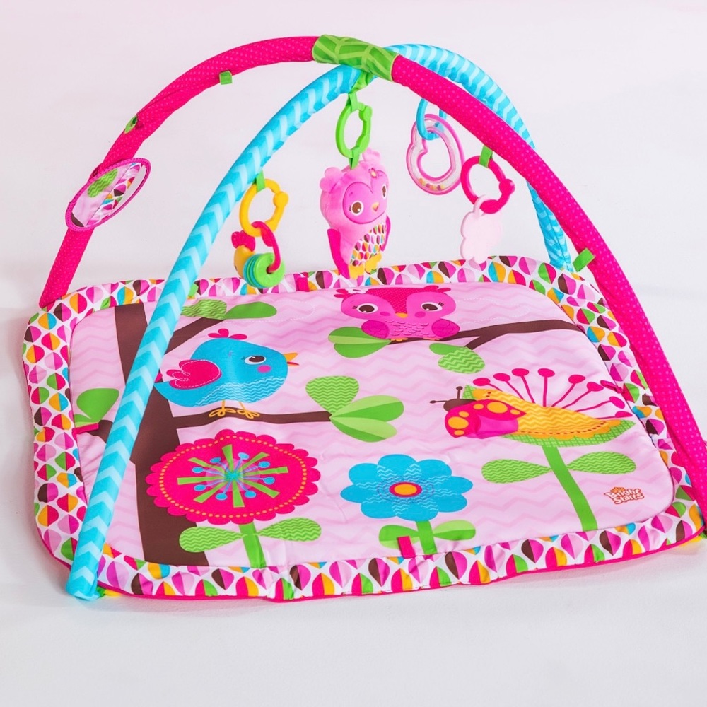 Bright Starts Charming Chirps Activity Gym